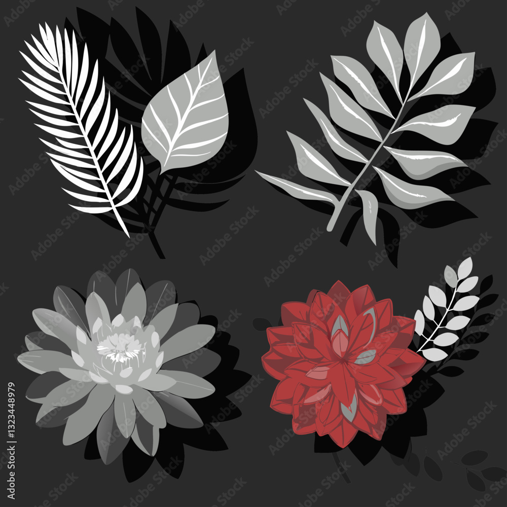 black and white flowers black and white flowers