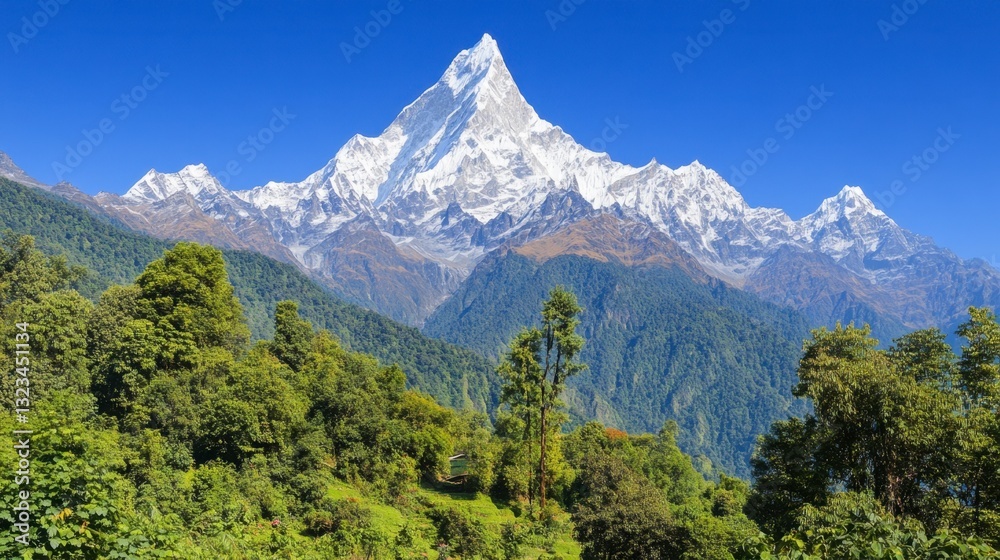 Majestic snow capped mountain peak rises above lush green foothills under a clear blue sky. The vibrant green vegetation contrasts beautifully with the white snow and ice. Majestic snow capped mountain peak rises above lush green foothills under a clear blue sky. The vibrant green vegetation contrasts beautifully with the white snow and ice.