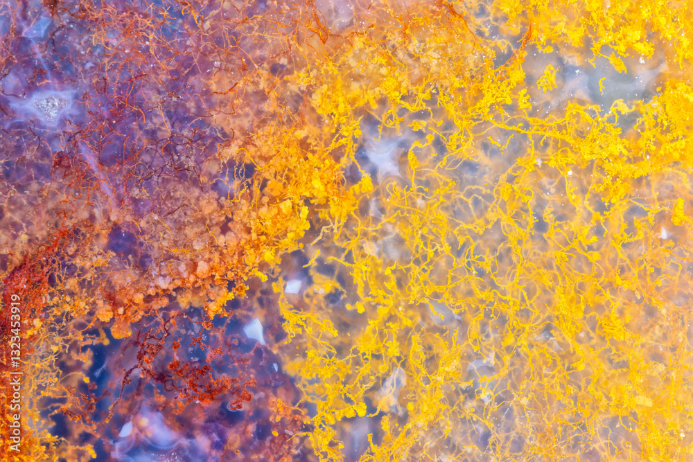 Moss Agate Pebble Closeup Moss Agate Pebble Closeup