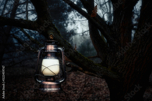Obraz na płótnie Old kerosene lamp on the moss in mysterious dark forest w salonie