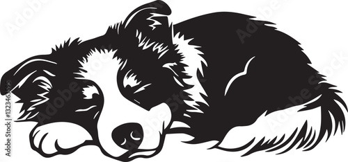 sleeping border collie puppy