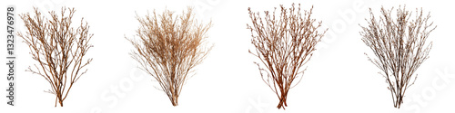 Bare twisted and gnarled branches silhouetted against a plain white background creating a minimalist natural and abstract pattern