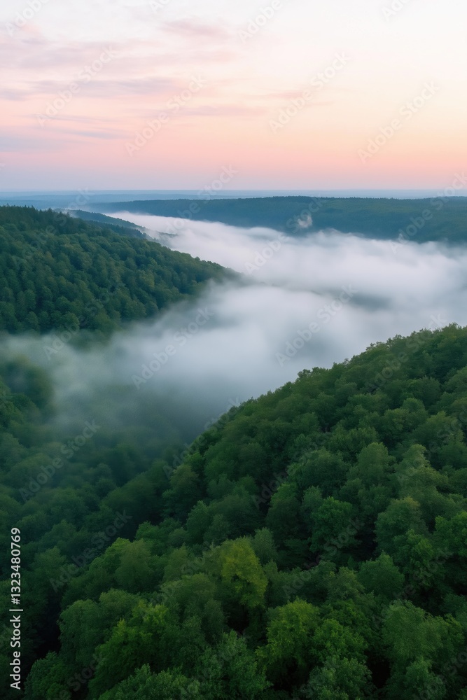 Obraz premium The sky is a beautiful orange color as the sun sets. The trees are lush and green, and the fog is thick and heavy. The scene is peaceful and serene, with the mist adding a sense of mystery