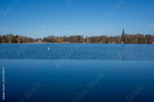 Obraz na płótnie winter landscape with swan lake in zwickau, saxony east germany w salonie