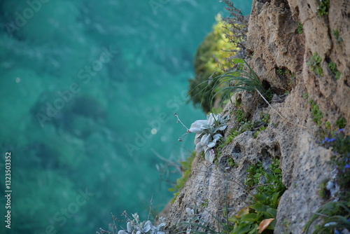 Blaues Meer und Klippen