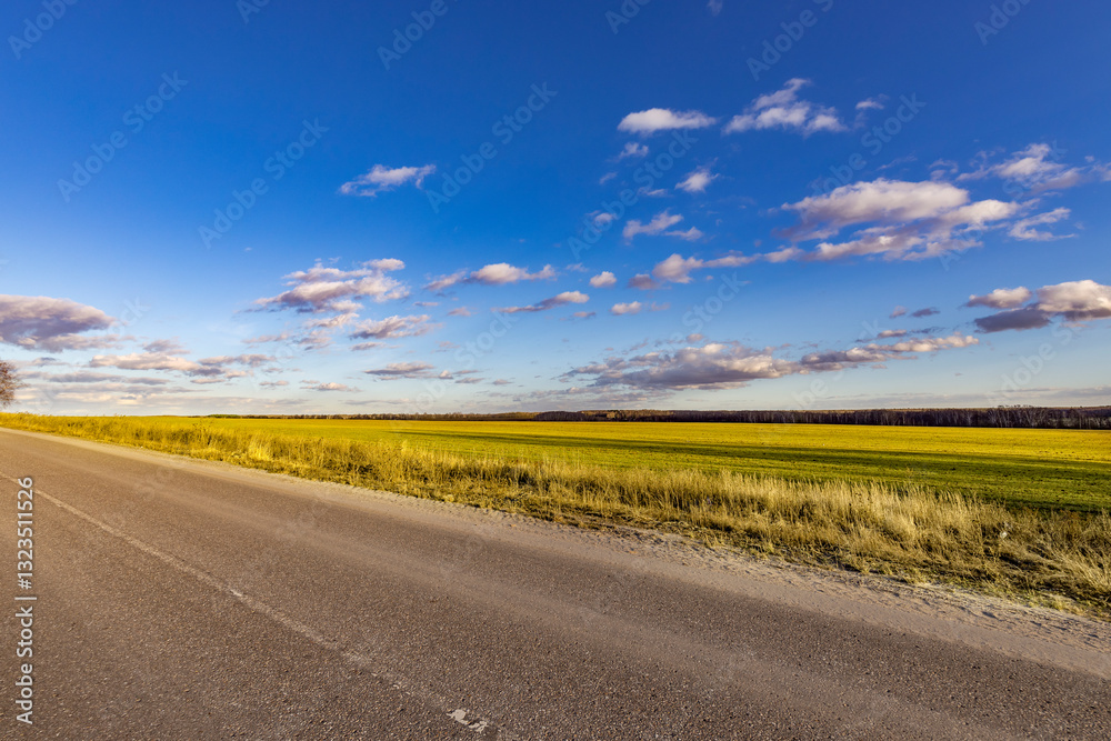 Fototapeta premium road in the field