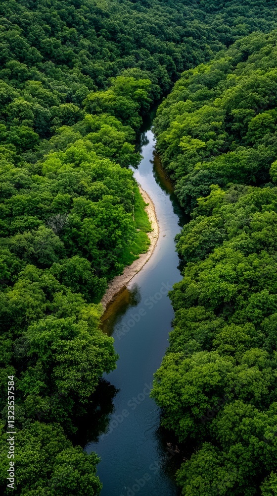 Aerial View of Serene River Carving Through Lush Green Forest Aerial View of Serene River Carving Through Lush Green Forest