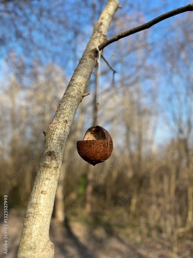 Obraz premium birdhouses