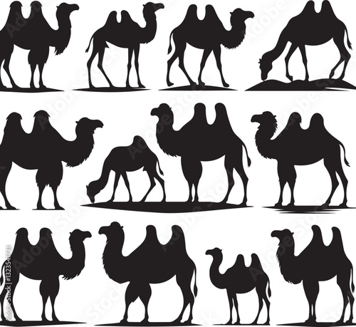 Desert Camel Silhouette Bundle | Arabic Nomadic SVG Pack 