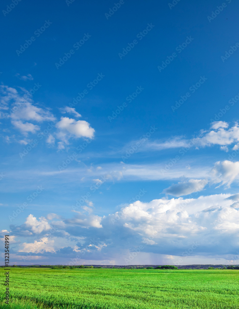 Large field of grass with a clear blue sky above