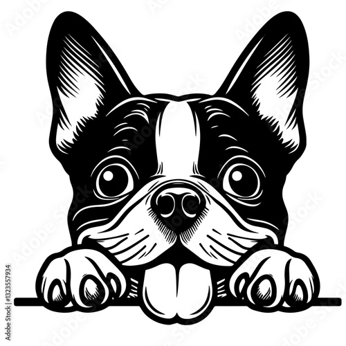 Dog Peeking Clipart Illustration 