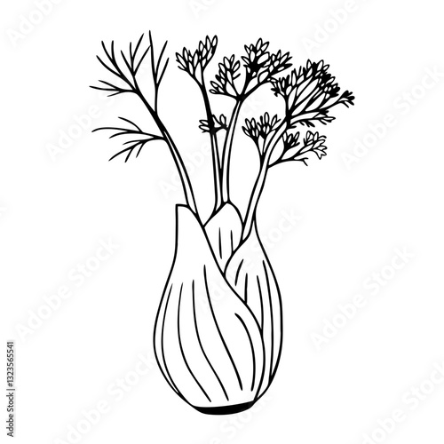 Fennel Herb Black Outline Vector Illustration for Botanical Designs
