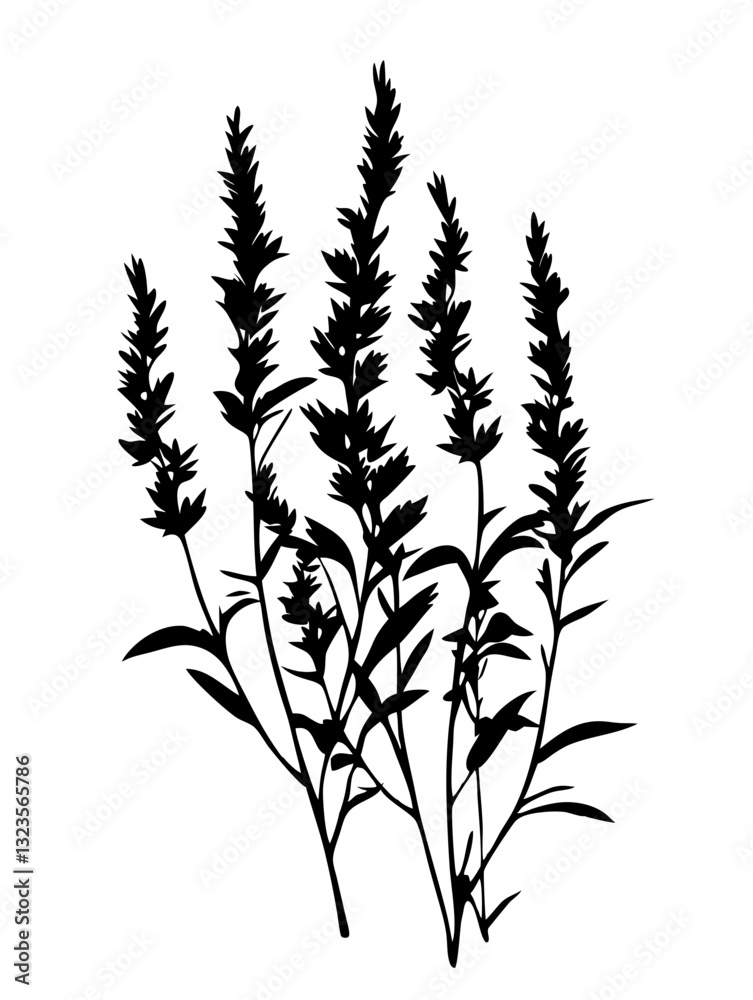 Naklejka premium Black Silhouette Wildflower Plant Botanical Vector Art for Design