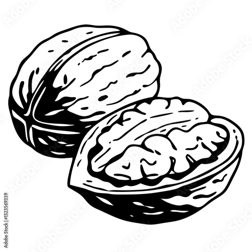 Black and White Walnut Vector Illustration for Food Decor and Coloring Designs