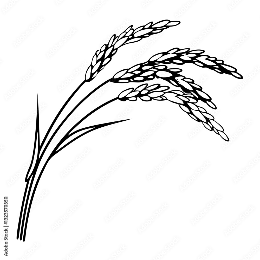 Fototapeta premium Elegant Black Silhouette of Rice Plant Stalks for Botanical Illustrations