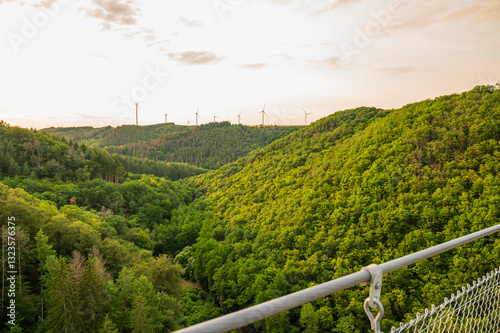 Hunsrück/ Geierley Hängebrücke im Abendlicht