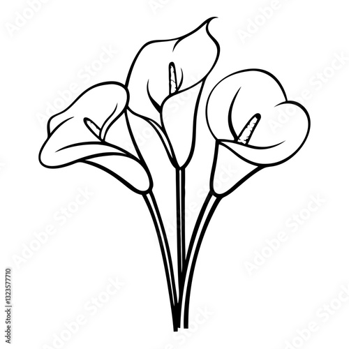 Wallpaper Mural Elegant Calla Lily Outline Vector Illustration for Tattoo and Design Torontodigital.ca