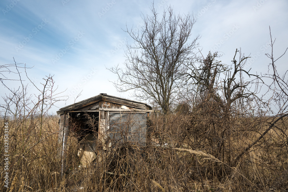 Old house, ruined and abandoned cottage in the bushes.