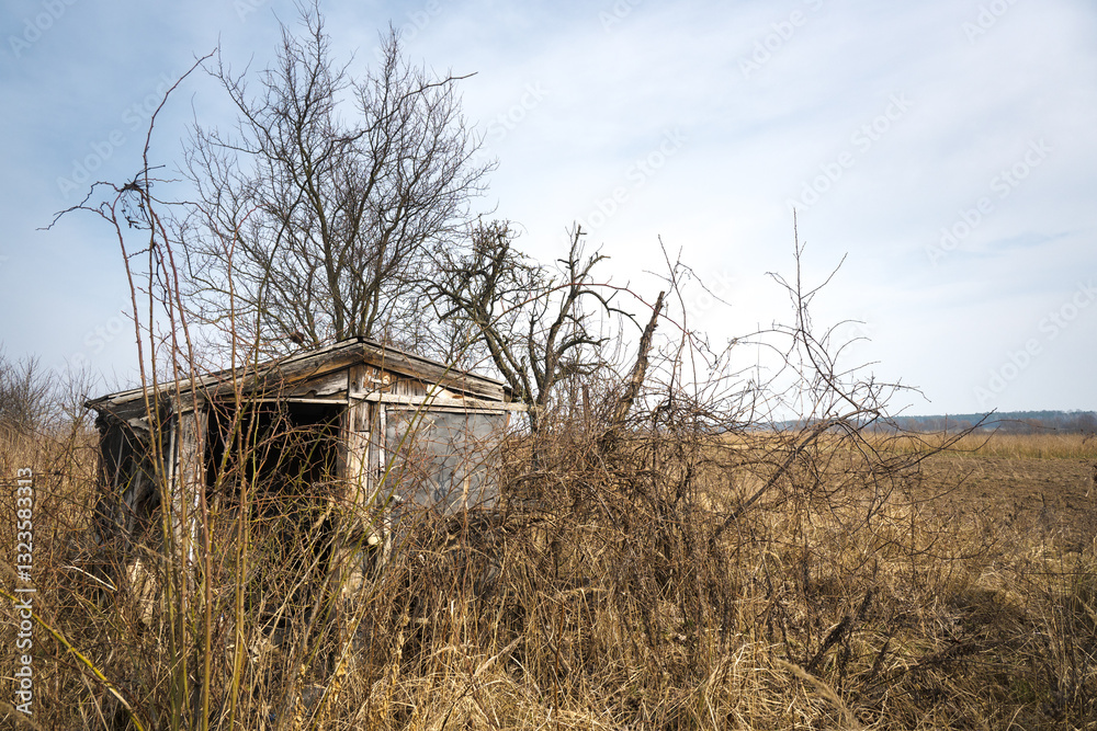 Old house, ruined and abandoned cottage in the bushes.