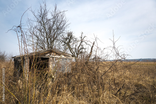 Obraz na płótnie Old house, ruined and abandoned cottage in the bushes.
w salonie