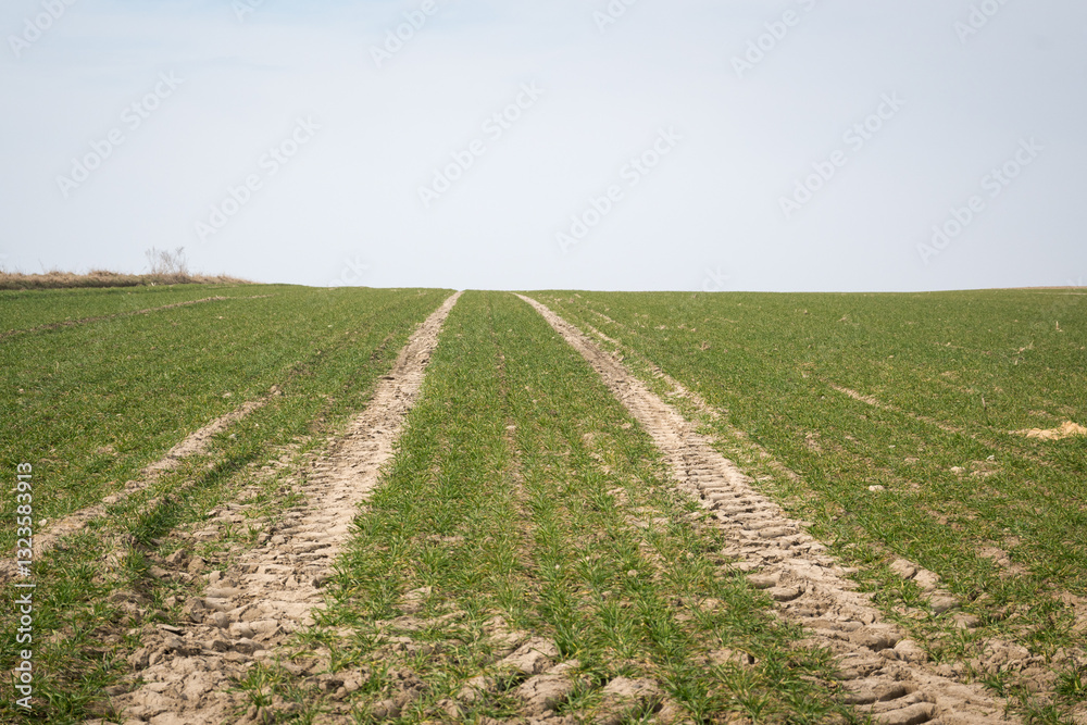 Rural landscape of fields in early spring.