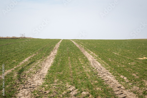 Obraz na płótnie Rural landscape of fields in early spring.
w salonie