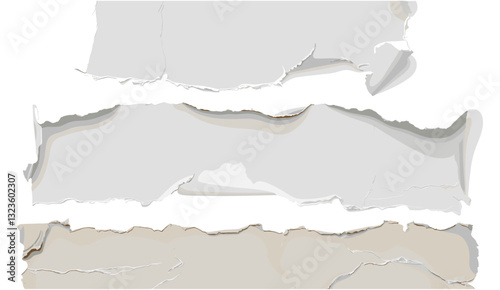 piece of white paper tear isolated background
