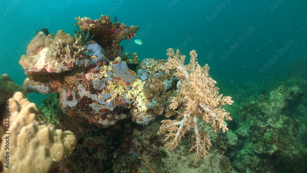 Naklejka premium An underwater ecosystem built by colonies of tiny animals 