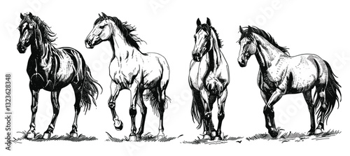 Mustang vector art, isolated horse set, wild horse sketch, vintage horse illustration, nag engraving, ink sketch, wild mustang background, horse vector drawing, classic animal art