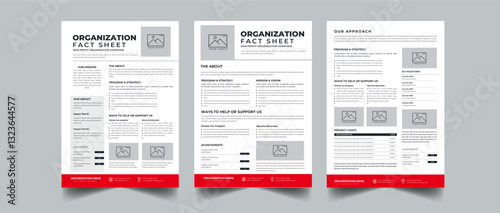 Nonprofit Organization Fact Sheet layout design template with 3 style design concept	

