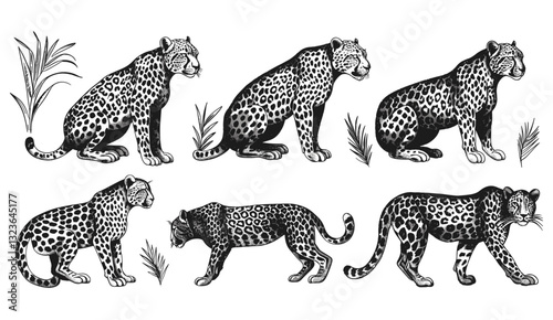 Vector illustration black and white hand drawn leopard set, vintage engraving jaguar, panther, cheetah, Africa wild cat, animal silhouette, ink sketch, art background