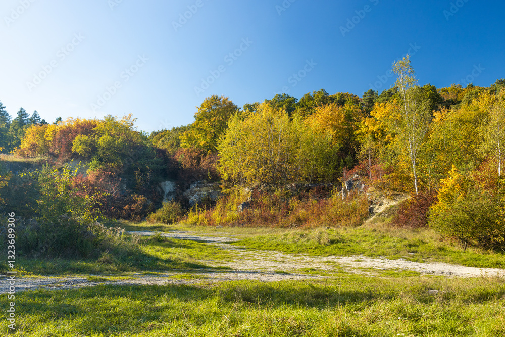 Naklejka premium Autumn forest path. Orange color tree, red brown maple leaves in fall city park. Nature scene in sunset fog Wood in scenic scenery Bright light sun Sunrise of a sunny day, morning sunlight view. High