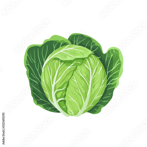 Simple flat 2D icon green cabbage isolated on transparent background, vector, flat design, animation design, simple flat 2D icon, clipart