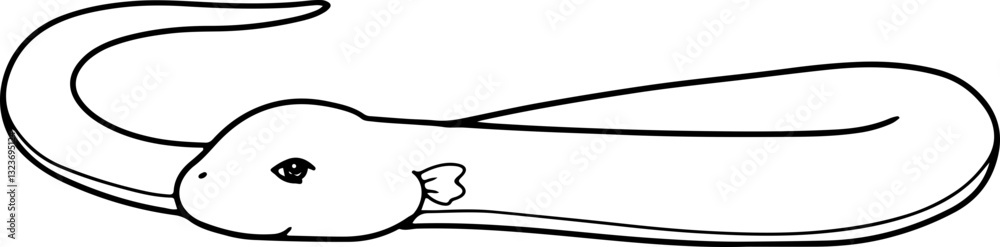 Fototapeta premium snake doodle reptiles