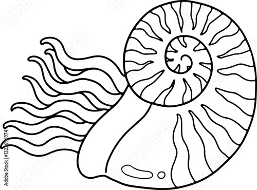 nautilus doodle