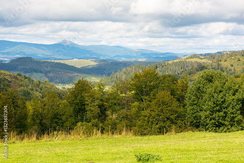carpathian mountain landscape in dappled light. countryside valley. nature in early autumn. deciduous forest on the grassy hill. watershed ridge with pikui peak in the distance. cloudy sky