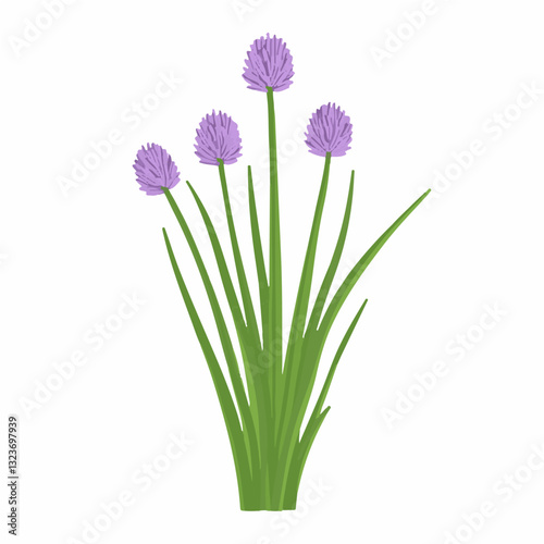 My Simple flat 2D icon purple chives isolated on transparent background, vector, flat design, animation design, simple flat 2D icon, clipart