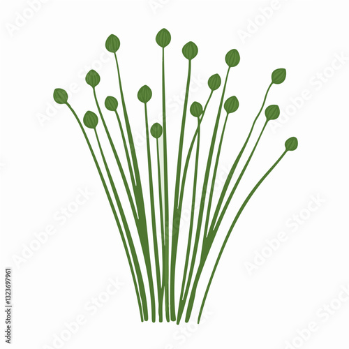 My Simple flat 2D icon green chives isolated on transparent background, vector, flat design, animation design, simple flat 2D icon, clipart