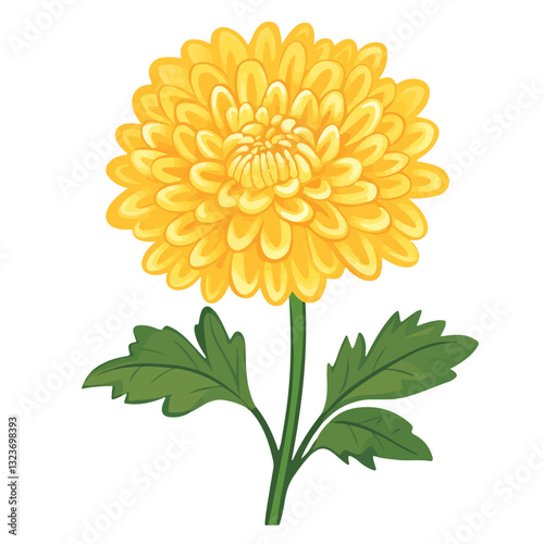 My Simple flat 2D icon yellow chrysanthemum isolated on transparent background, vector, flat design, animation design, simple flat 2D icon, clipart