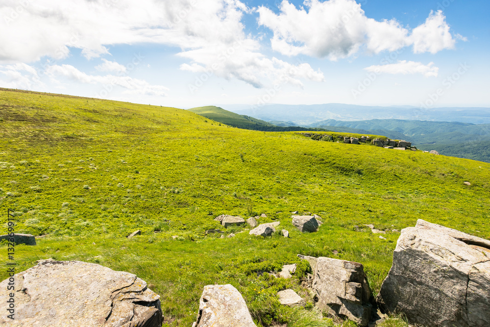 landscape with alpine meadow on a sunny morning. rocks on green hills of carpathian mountain nature. clouds on the blue sky