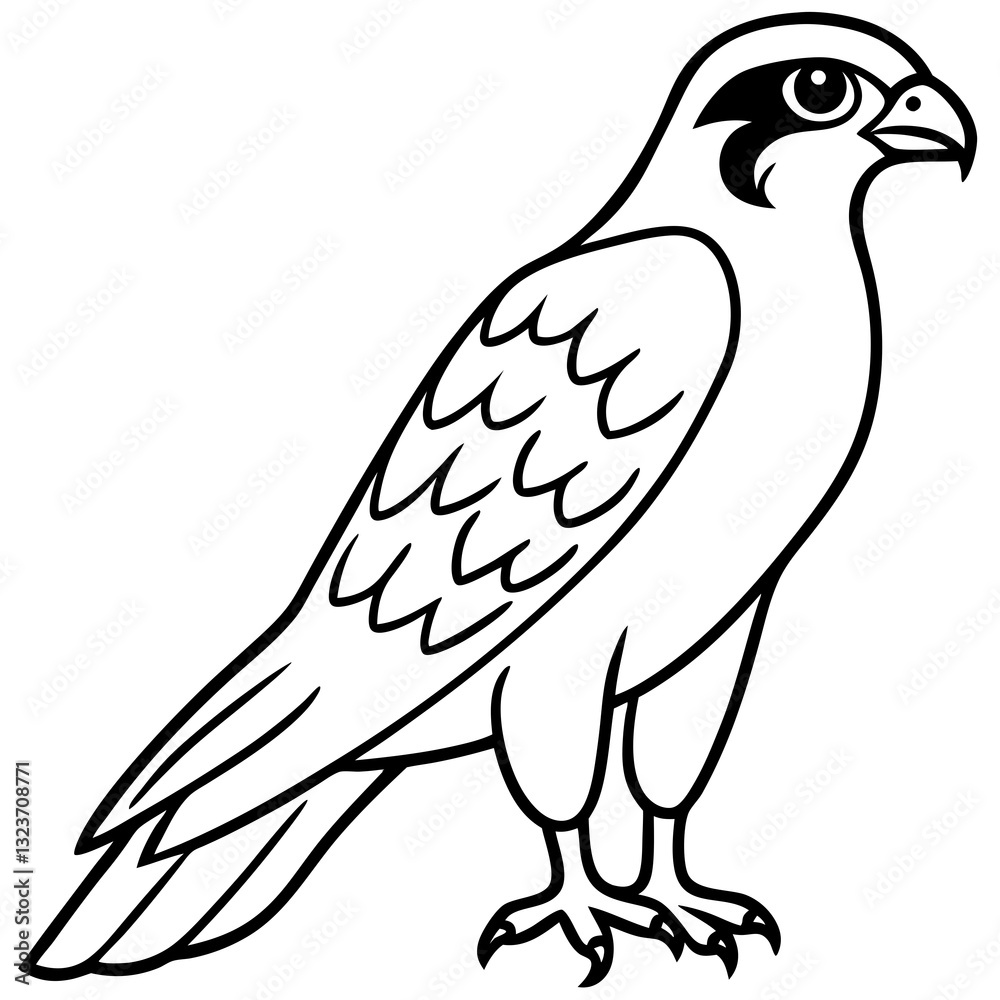 Fototapeta premium Falcon Line Art Vector