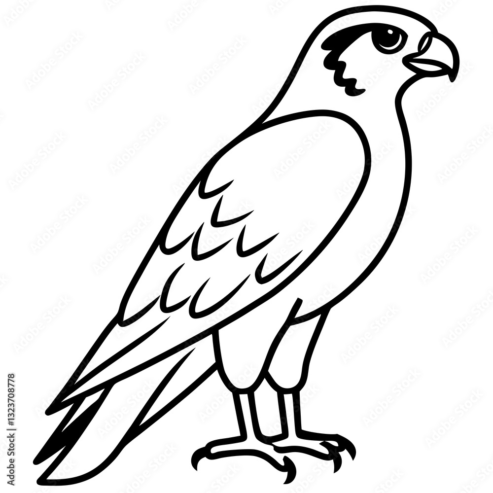 Obraz premium Falcon Line Art Vector