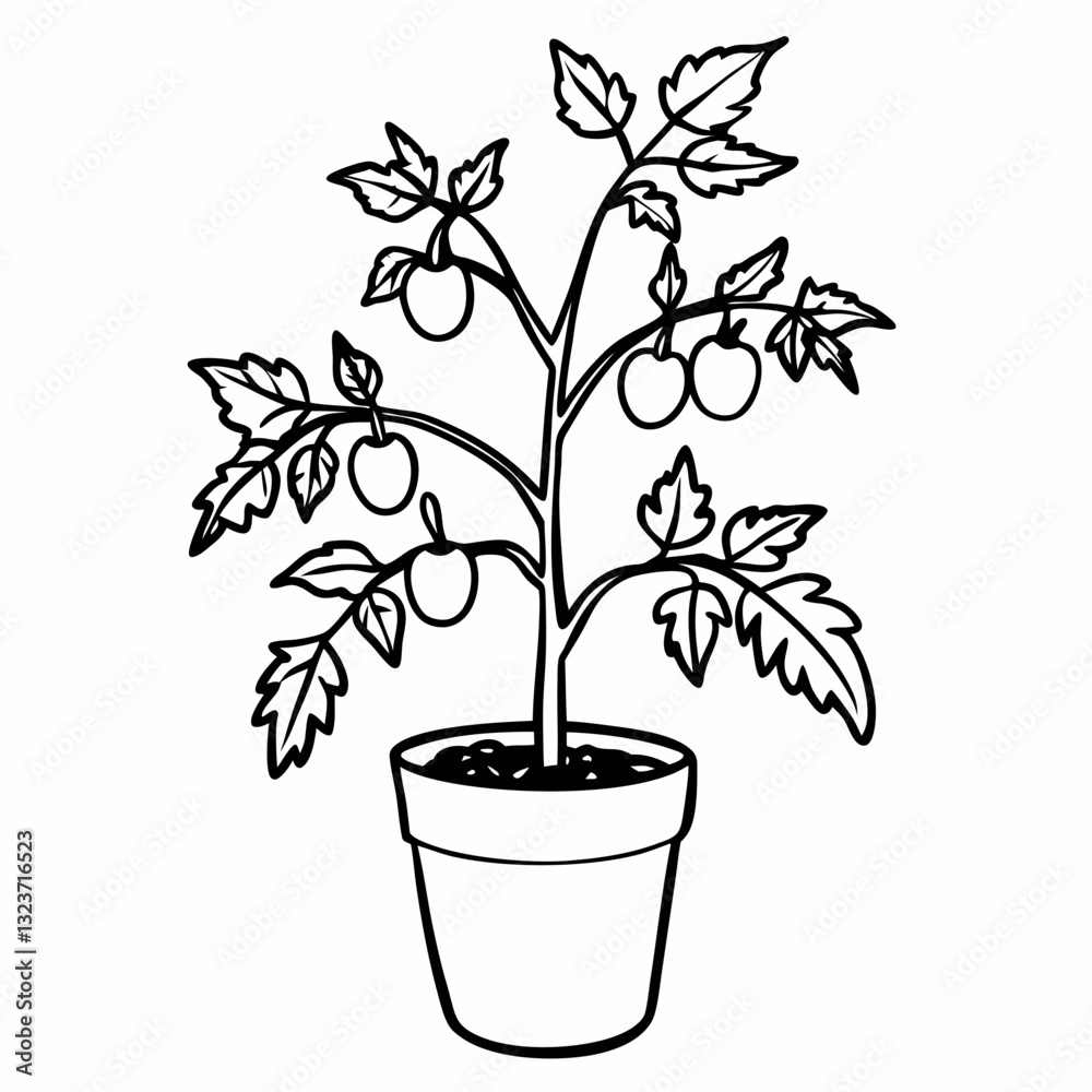 Obraz premium Black and White Illustration of Potted Tomato Plant with Ripened Tomatoes