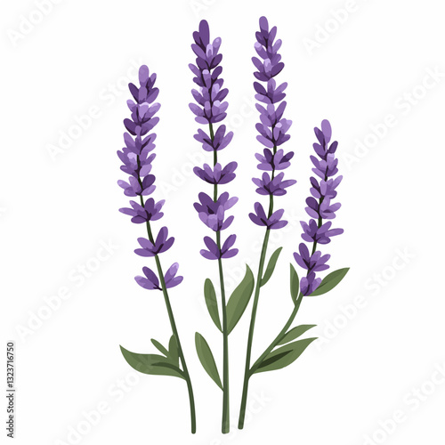 My Simple flat 2D illustration purple  lavender branches isolated on transparent background, vector, flat design, animation design, simple flat 2D icon, clipart