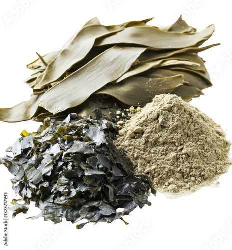 Kelp Seaweed,  Dried and Powdered Forms
