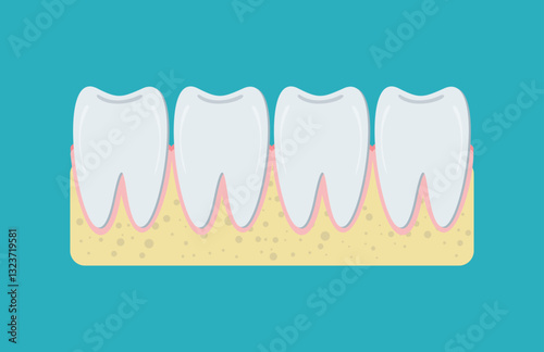 Illustration of healthy, clean and neat teeth