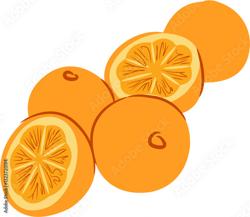  fresh juicy orange Slice