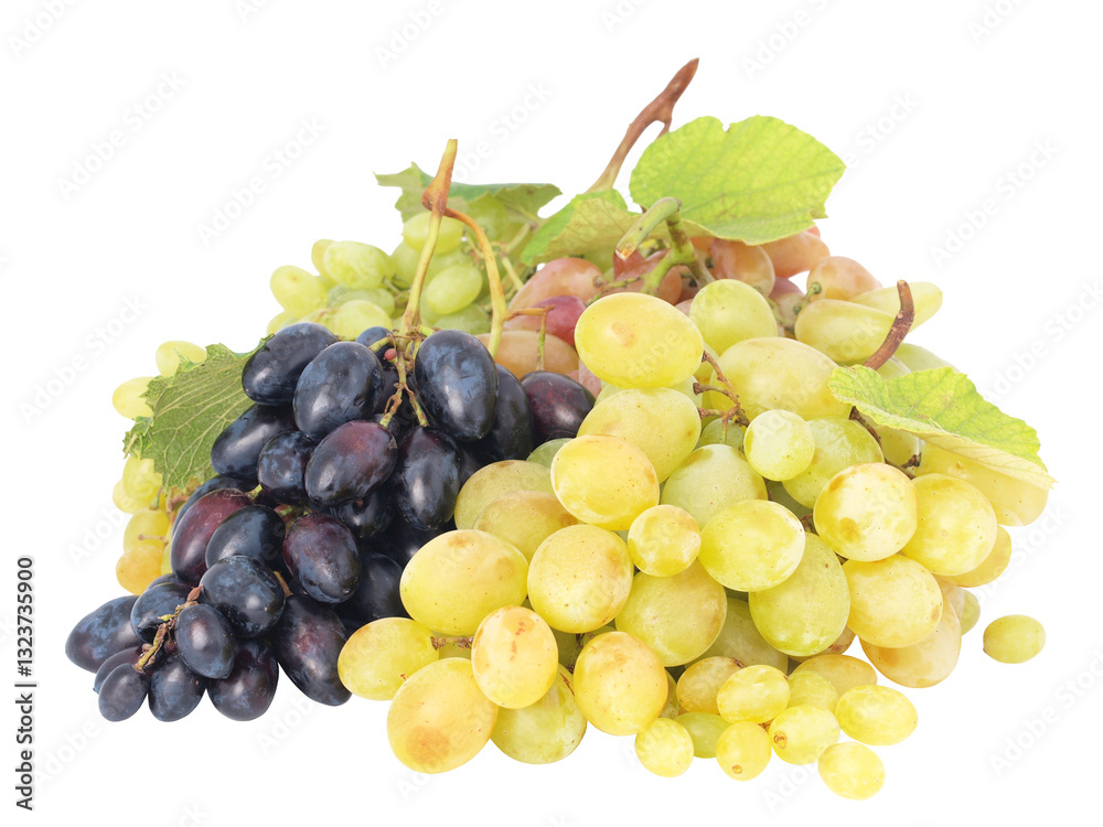 Bunch of grapes isolated