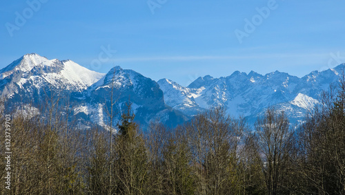 Wallpaper Mural View of the peaks of the Tatra Mountains in Poland. Torontodigital.ca
