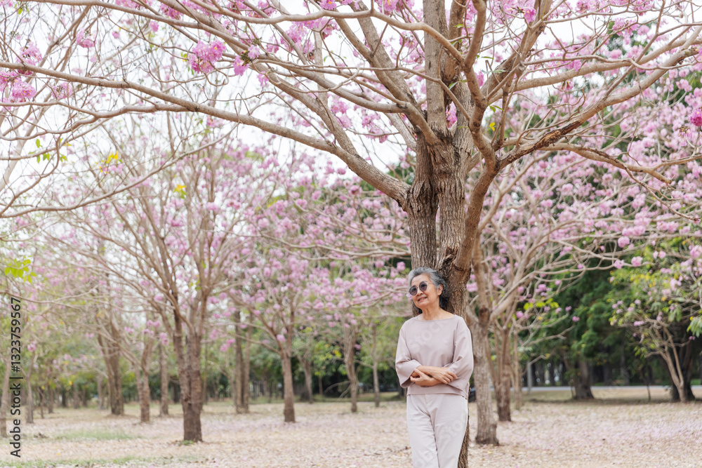 An elegant elderly woman stands under a blooming cherry blossom tree, wearing sunglasses and a stylish outfit.Solo activities An elegant elderly woman stands under a blooming cherry blossom tree, wearing sunglasses and a stylish outfit.Solo activities